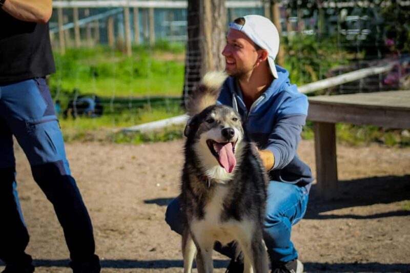 Rovaniemi: Summer Husky Kennel Tour and Cart Ride - Who Should Consider This Tour?