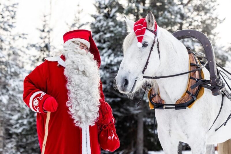 Rovaniemi: Traditional Finnhorse Sleigh Ride at SCV (3km) - A Deep Dive into the Finnhorse Sleigh Ride Experience