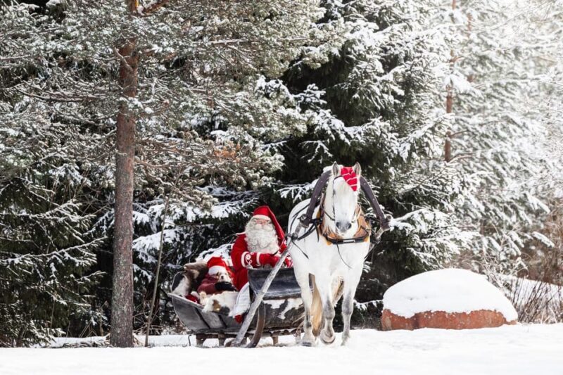 Rovaniemi: Traditional Finnhorse Sleigh Ride at SCV (3km) - Authenticity and Value