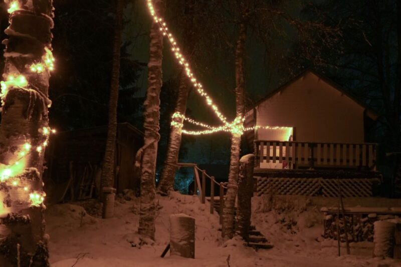 Rovaniemi: Traditional Sauna and Ice Swimming Experience - A Deep Dive into the Rovaniemi Sauna and Ice Swimming Experience
