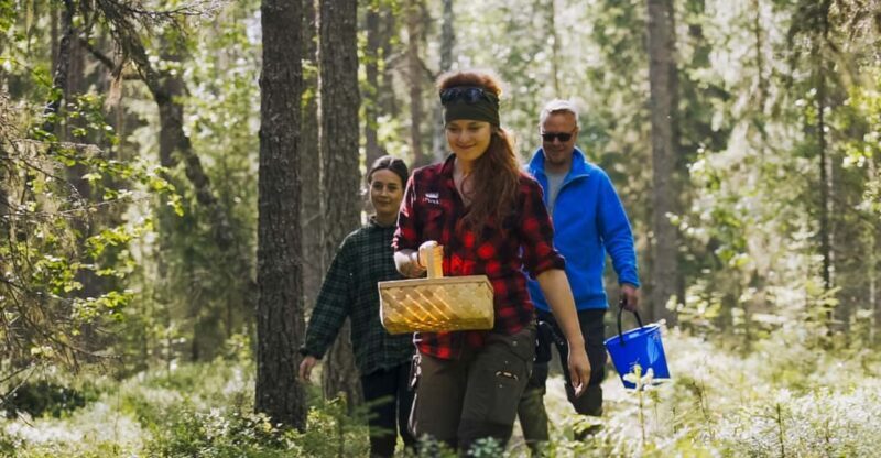 Rovaniemi : Trekking in the Heart of Nature - A deeper look into the experience