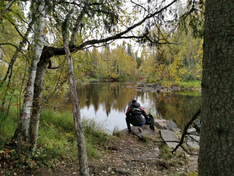 Rovaniemi: Vaattunki Hiking Arctic Circle Trail - An Authentic Arctic Adventure Near Rovaniemi