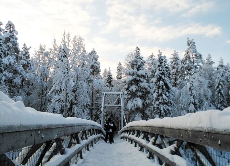 Rovaniemi: Vaattunki Hiking Arctic Circle Trail - The Vaattunkiköngäs Waterfalls and Forests