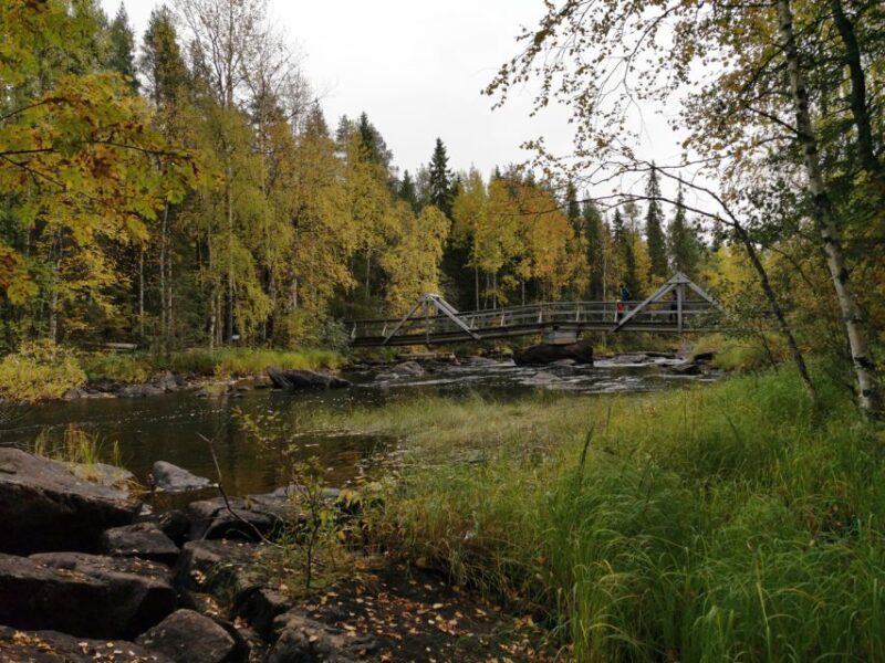 Rovaniemi: Vaattunki Hiking Arctic Circle Trail - The Fireside Break – Warmth, Snacks, and Stories