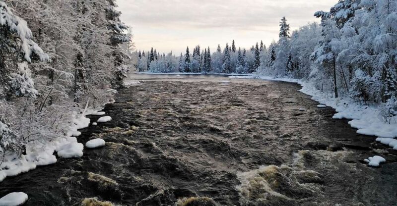 Rovaniemi: Vaattunki Hiking Arctic Circle Trail - Practical Details: What You Need to Know
