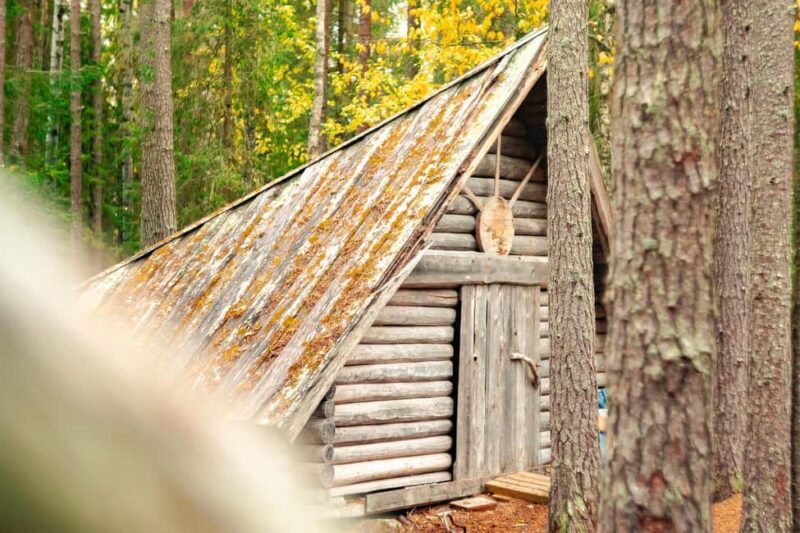 Rovaniemi: Vaattunkiköngäs Trail Arctic Circle Forest Hike - The Sum Up: Who Should Consider This Tour?