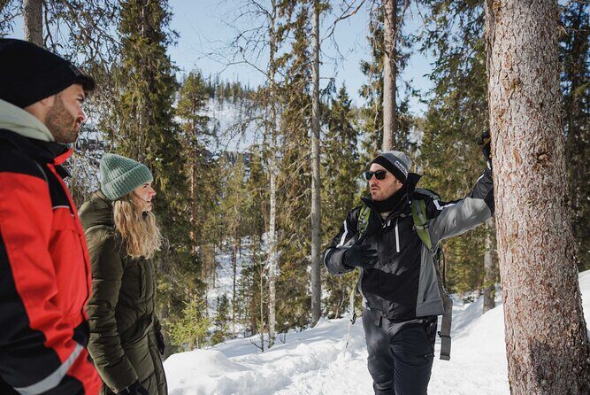 Rovaniemi - Visit to The Frozen Waterfalls of Korouoma - Frequently Asked Questions