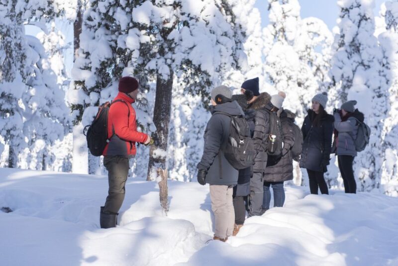 Rovaniemi: Wilderness Tour - Key Points