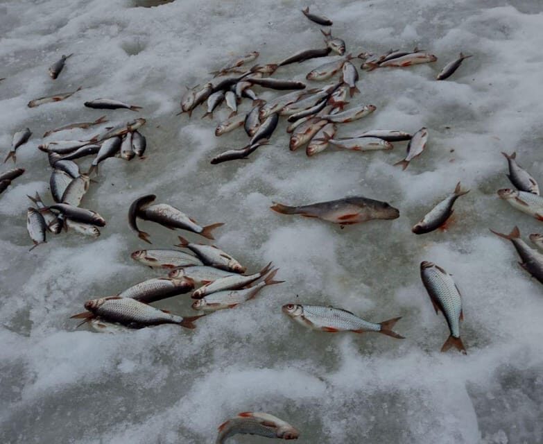 Rovaniemi: winter ice fishing tour - A Detailed Look at the Rovaniemi Ice Fishing Tour