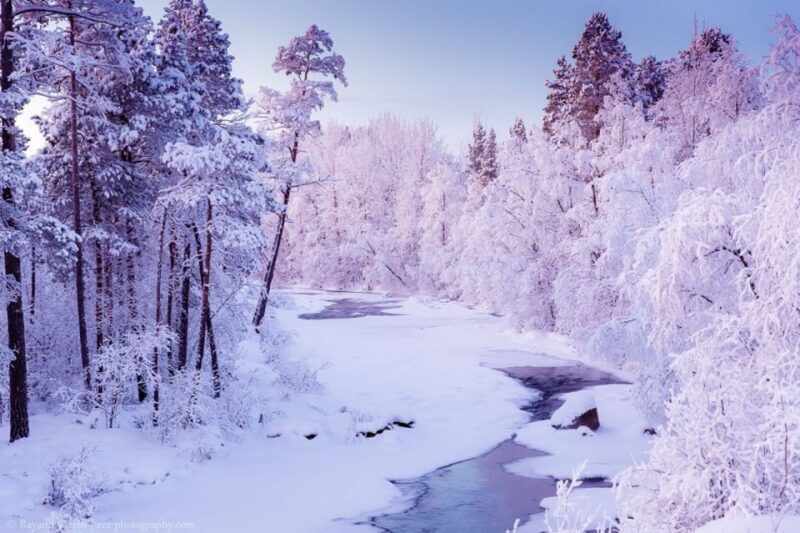 Rovaniemi: Winter Snowshoeing, Reindeer & Husky Sleigh Ride - Discovering the Lappish Wilderness
