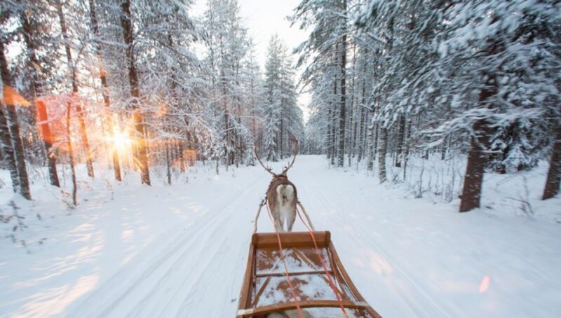 Rovaniemi: Winter Snowshoeing, Reindeer & Husky Sleigh Ride - Authentic Elements and Cultural Insights