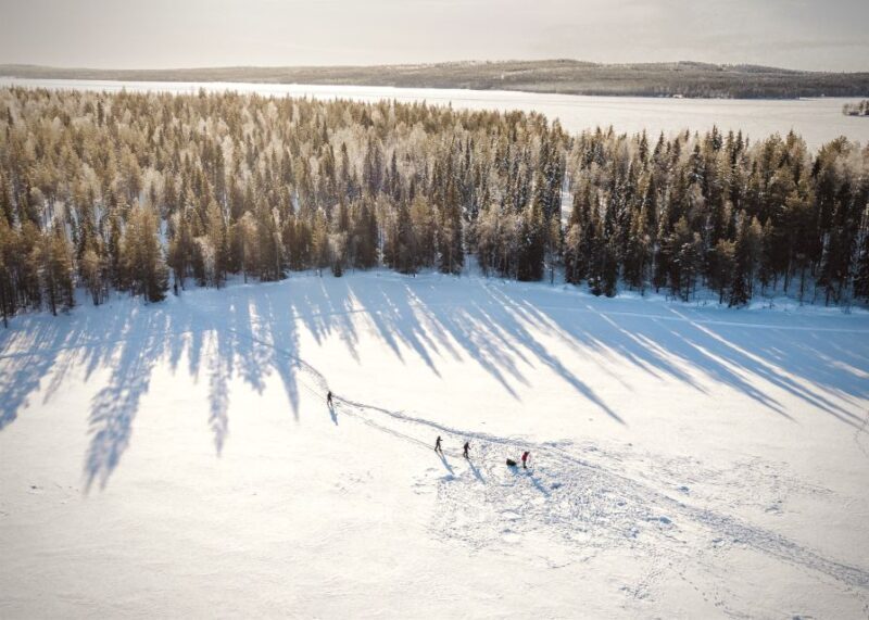 Rovaniemi: Winter Wilderness Snowshoeing Trip - Key Points