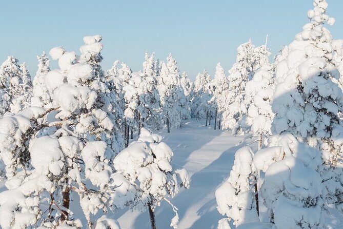 Rovaniemi: Winter Wonderland Vikaköngäs Hiking Tour & BBQ - Who Will Love This Tour?