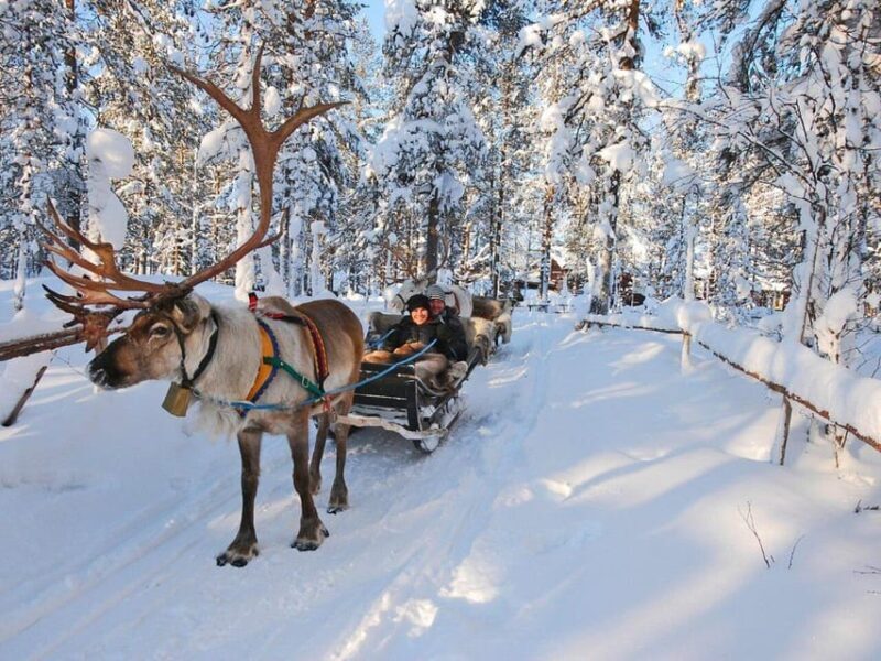 Rovaniemis Magical Christmas Tour: Santas Home - Who Should Consider This Tour?