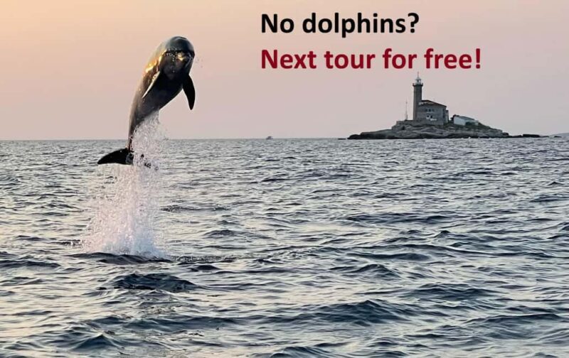 Rovinj: Dolphin Watching Sunset Speedboat Tour with Drinks - What Makes This Tour Special?