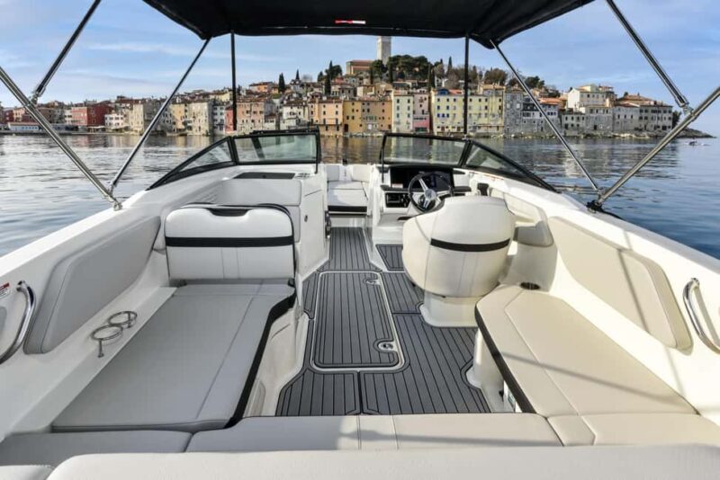 Rovinj: Dolphins at Sunset & Island Swimming Speedboat Tour - The Bottom Line