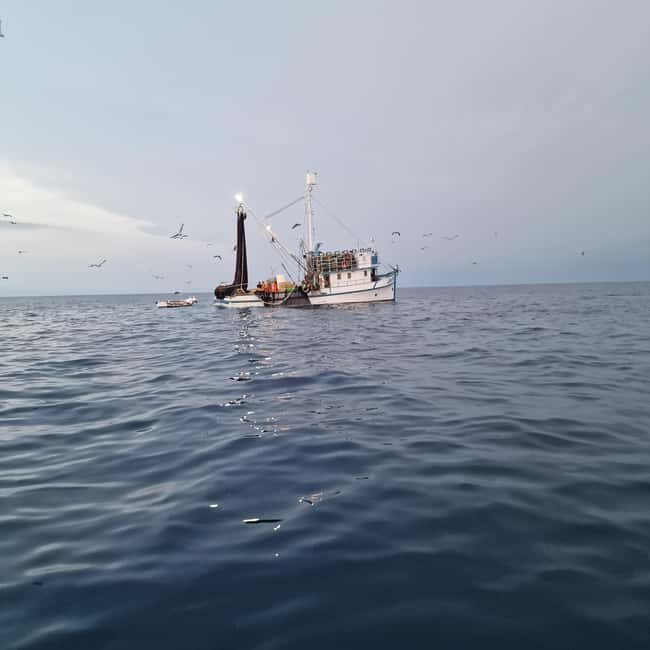 Rovinj fishing tour with boat - Key Points