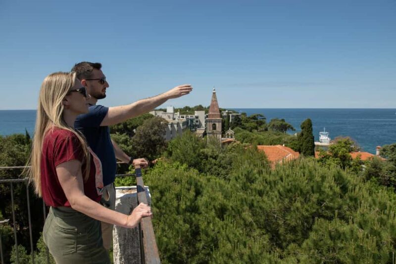 Rovinj or Vrsar: Rovinj Islands and Lim Fjord Speedboat Tour - FAQ: Common Questions About the Rovinj Islands and Lim Fjord Speedboat Tour
