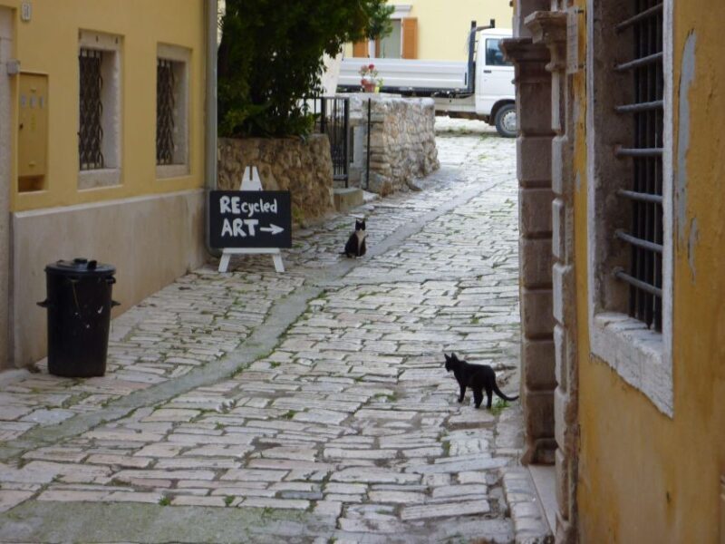 Rovinj: Private Walking Tour - An Introduction to Rovinj and What This Tour Offers