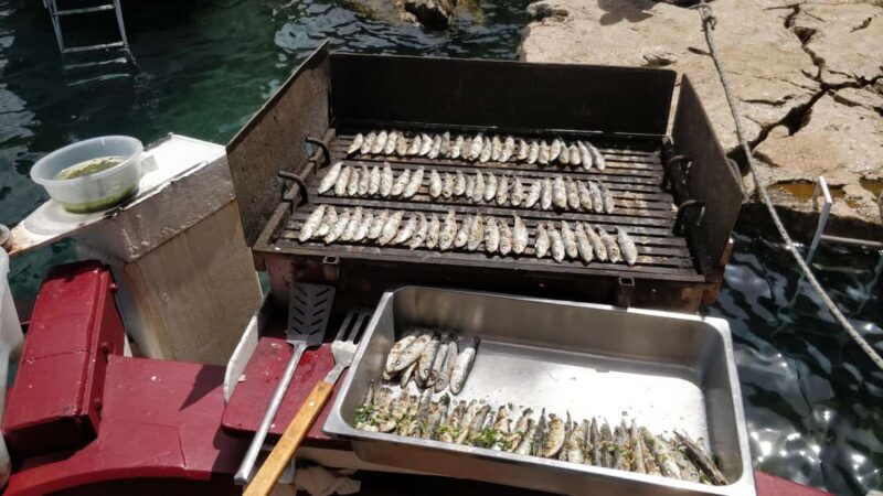 Rovinj: Red Island & Lim Fjord boat tour with BBQ & Swimming - Final Words