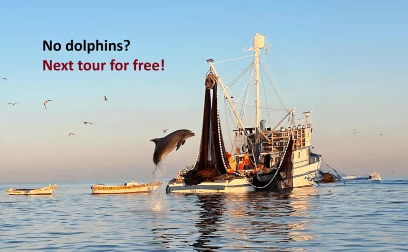 Rovinj: Sunrise Dolphins & Fishermen at Work Speedboat Tour - Discovering Rovinj’s Sunrise Dolphins & Fishermen Tour