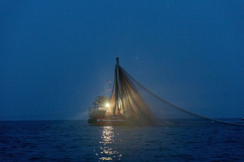 Rovinj: Sunrise Dolphins & Fishermen at Work Speedboat Tour - FAQs