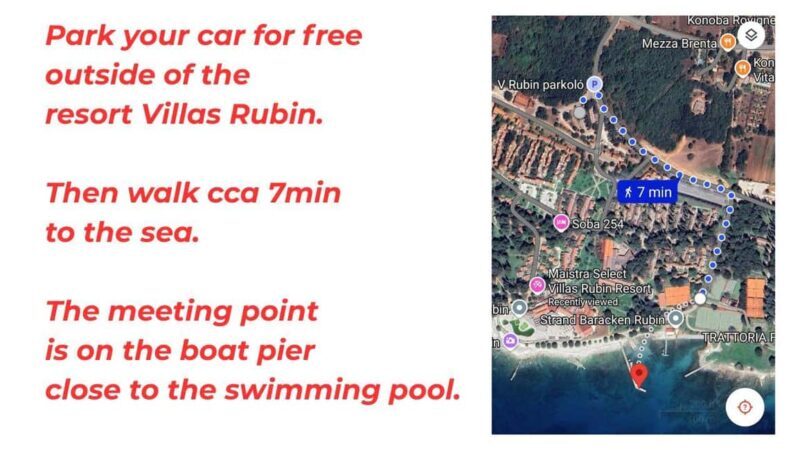 Rovinj: Sunset Speedboat Tour with Dolphin Watching - Who Will Enjoy This Tour?