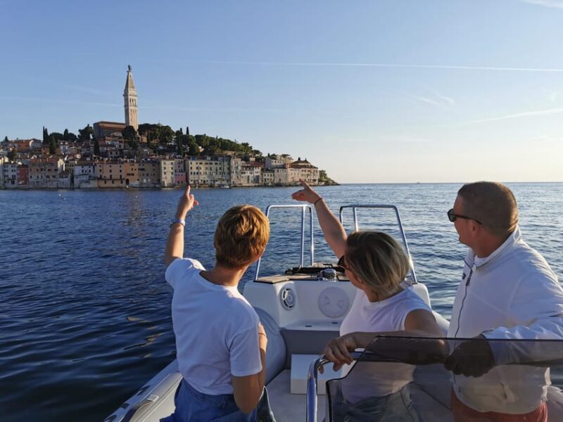 Rovinj: Sunset Speedboat Tour with Dolphin Watching - Practicalities and Tips