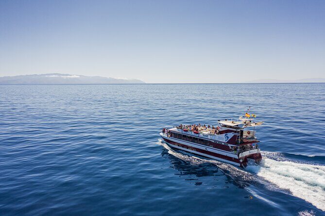 Royal Delfin - 4'5H Dolphin & Whale Watching - Los Gigantes Masca - Lunch & Swim - Key Points