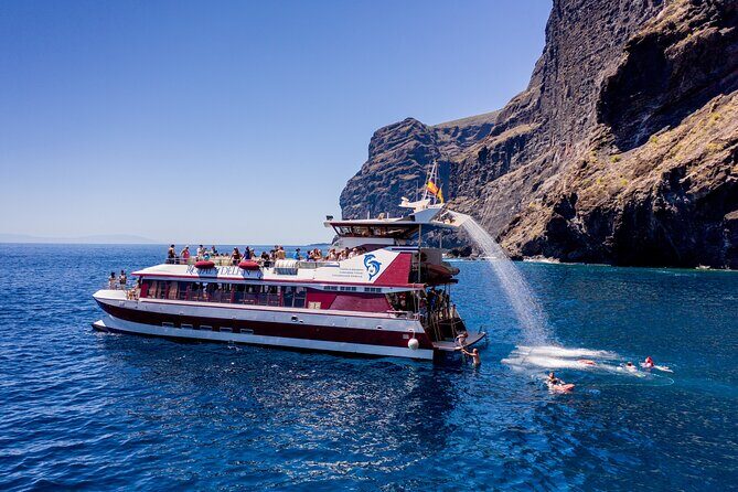 Royal Dolphin Whale watching excursion - Key Points