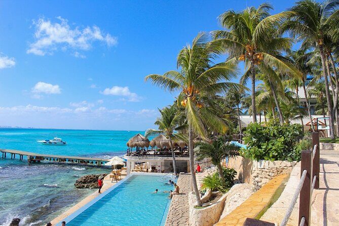 Royal Garragon with Dolphin Encounter in Isla Mujeres - What the Reviews Say