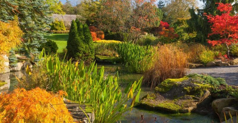 Royal Horticultural Society: Harlow Carr Garden Ticket - A Deep Dive into Harlow Carr: What to Expect