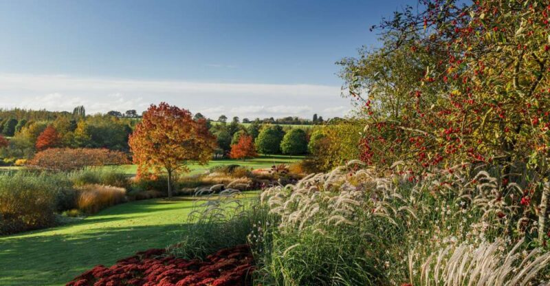 Royal Horticultural Society: Hyde Hall Garden Ticket - An In-Depth Look at Hyde Hall Garden
