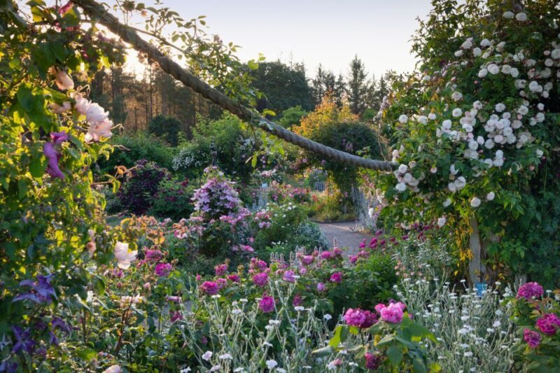 Royal Horticultural Society: Rosemoor Garden Ticket - Practical Details and Tips