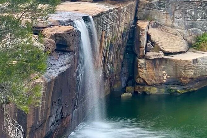 Royal National Park Hike, Swim and Wildlife Tour - Royal National Park Hike, Swim and Wildlife Tour: A Nature Lover’s Day Out