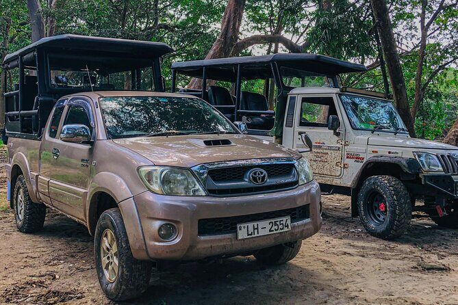 Royal Trails Safari at Kumana National Park - Royal Trails Safari at Kumana National Park: An Honest Look at a Wildlife Adventure