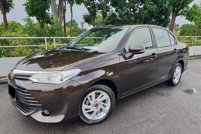 Royalton White Sands & Royalton Blue Waters Private Airport Transfers - Final Thoughts: Who Will Love This Experience?