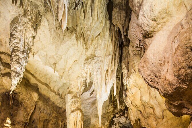 Ruakuri Cave and Hamilton Gardens Private Day Tour from Auckland - Authentic Perspectives from Travelers