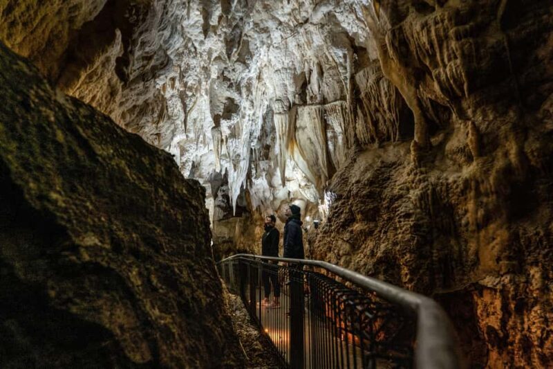 RUAKURI CAVE & HAMILTON GARDENS-PRIVATE TOUR FROM AUCKLAND - Exploring the Hidden Wonders of New Zealand: Ruakuri Cave & Hamilton Gardens