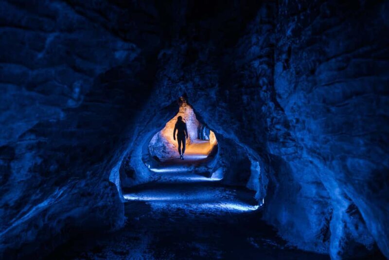 RUAKURI CAVE & HAMILTON GARDENS-PRIVATE TOUR FROM AUCKLAND - Analyzing the Value