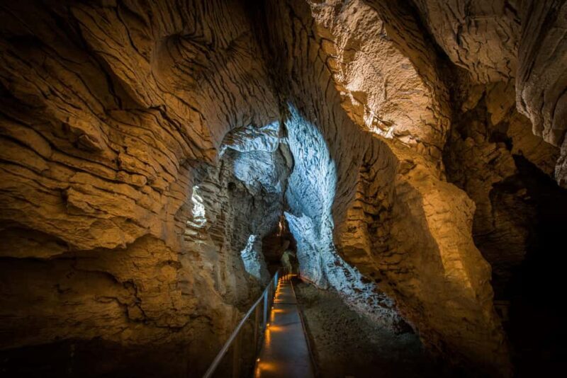 RUAKURI CAVE & HAMILTON GARDENS-PRIVATE TOUR FROM AUCKLAND - Frequently Asked Questions
