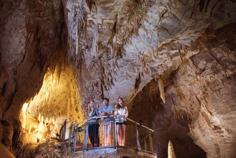 RUAKURI CAVES & HAMILTON GARDENS - Day Tour from Auckland - Who Should Book This Tour?