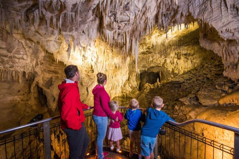 RUAKURI CAVES & HAMILTON GARDENS - Day Tour from Auckland - Additional Information