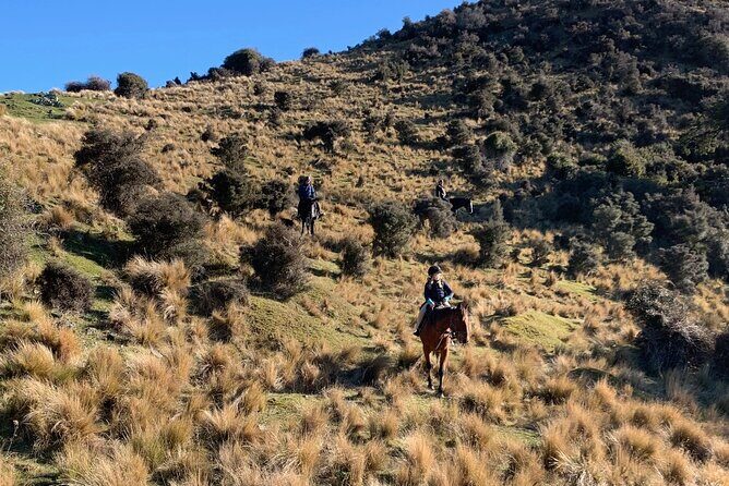 Rubicon Valley Horse Treks - 2 Hour River Trail Horse Trek - Authenticity, Comfort, and Safety