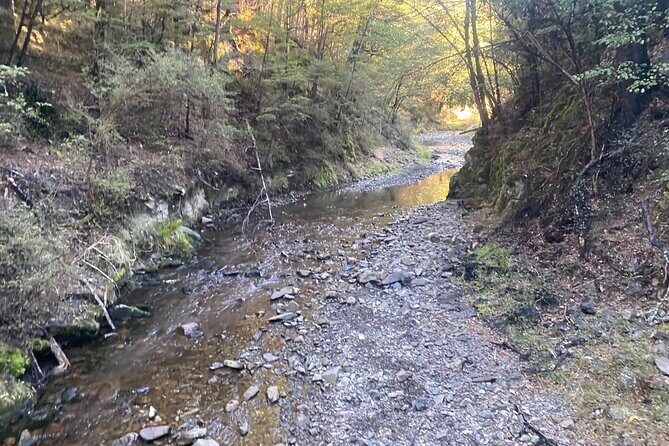 Rubicon Valley Horse Treks - 2 Hour River Trail Horse Trek - FAQ