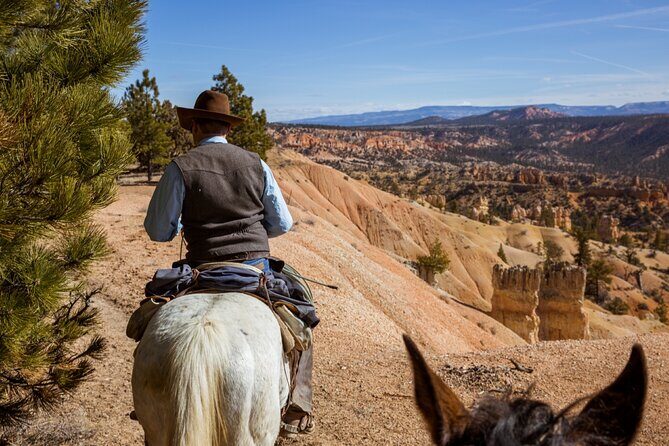 Ruby's Horseback Adventures Utah 1.5 Hour Ride - Final Thoughts: Is It Worth It?