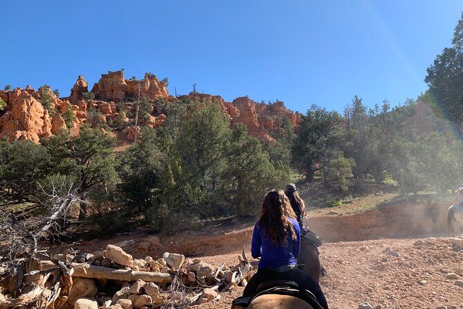 Ruby's Horseback Adventures Utah Half Day Ride - A Detailed Look at the Bryce Canyon Horseback Tour