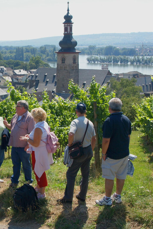 Rüdesheim am Rhein: city tour - Rüdesheim am Rhein: city tour – a detailed review