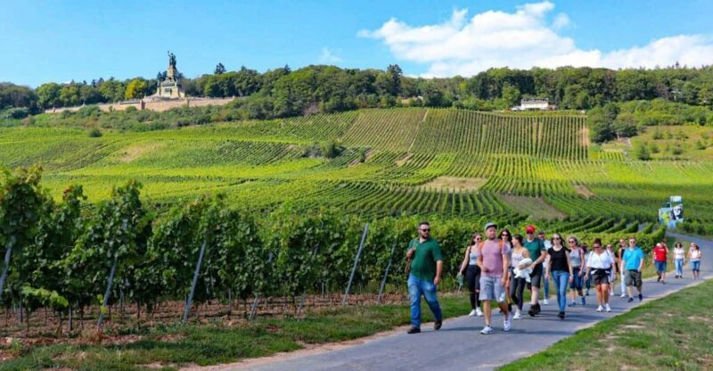 Rüdesheim - Guided wine hikes with 4wines and cable car ride - An In-Depth Look at the Tour
