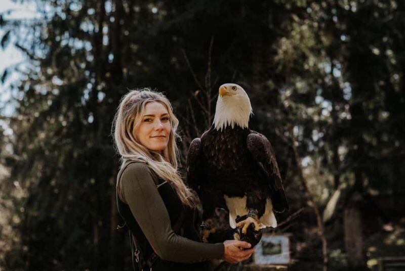 Ruhla: Ticket for a flight show with eagles, owls, and more. - Ruhla: Ticket for a Flight Show with Eagles, Owls, and More